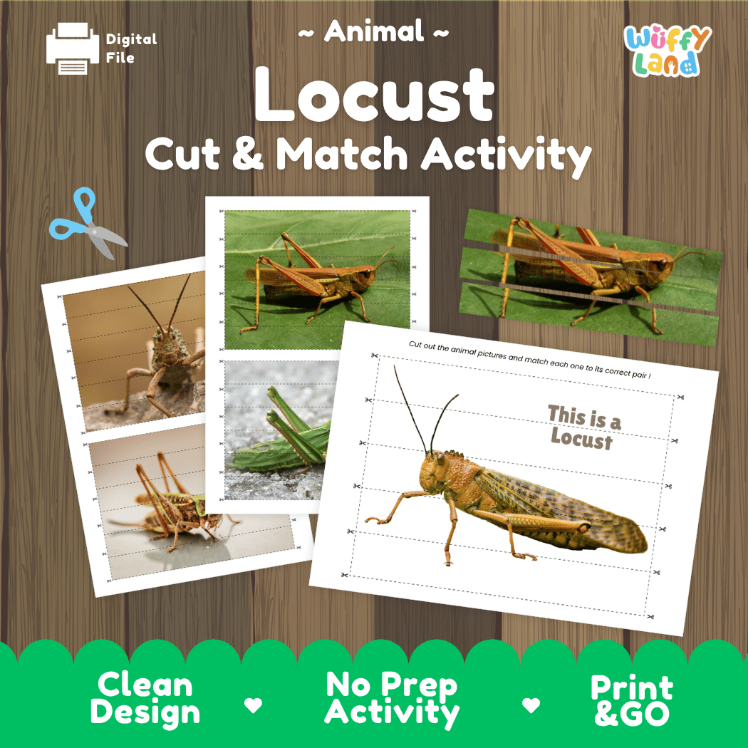Locust Cut and Match Activity Printables Worksheets