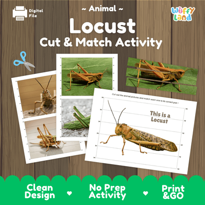 Locust Cut and Match Activity Printables Worksheets
