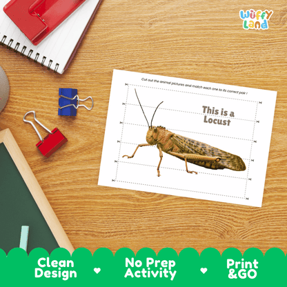 Locust Cut and Match Activity Printables Worksheets