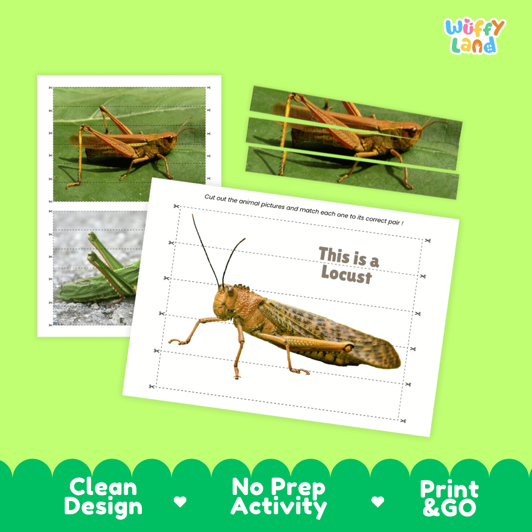 Locust Cut and Match Activity Printables Worksheets