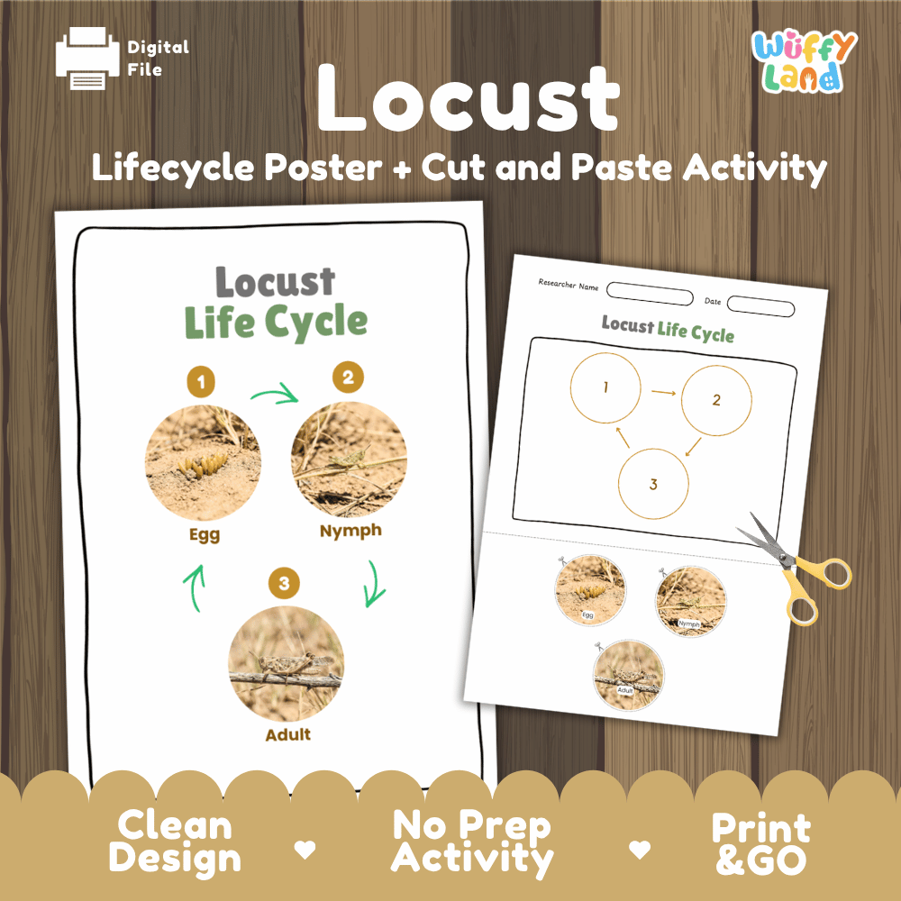 Locust Life Cycle Poster and Cut and Paste Activity Worksheets
