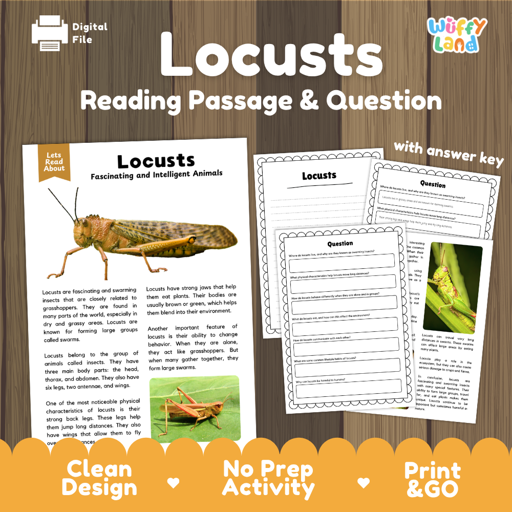 Locusts Reading Passage and Comprehension Questions Worksheets