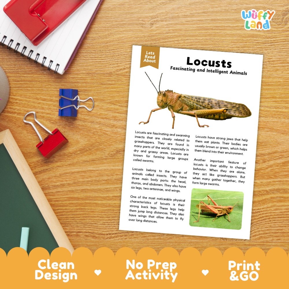 Locusts Reading Passage and Comprehension Questions Worksheets