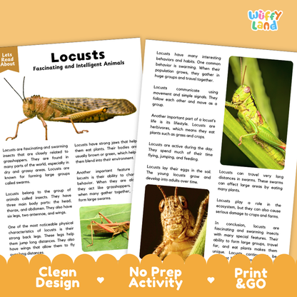 Locusts Reading Passage and Comprehension Questions Worksheets