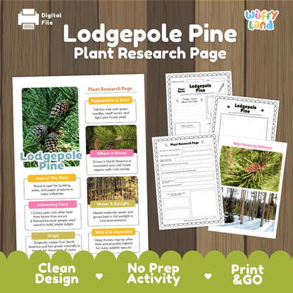 Lodgepole Pine Plant Research Page Worksheets and Fact Sheet