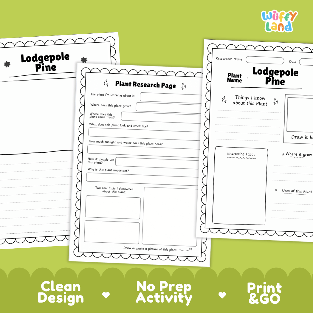 Lodgepole Pine Plant Research Page Worksheets and Fact Sheet