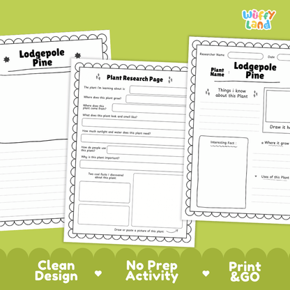 Lodgepole Pine Plant Research Page Worksheets and Fact Sheet