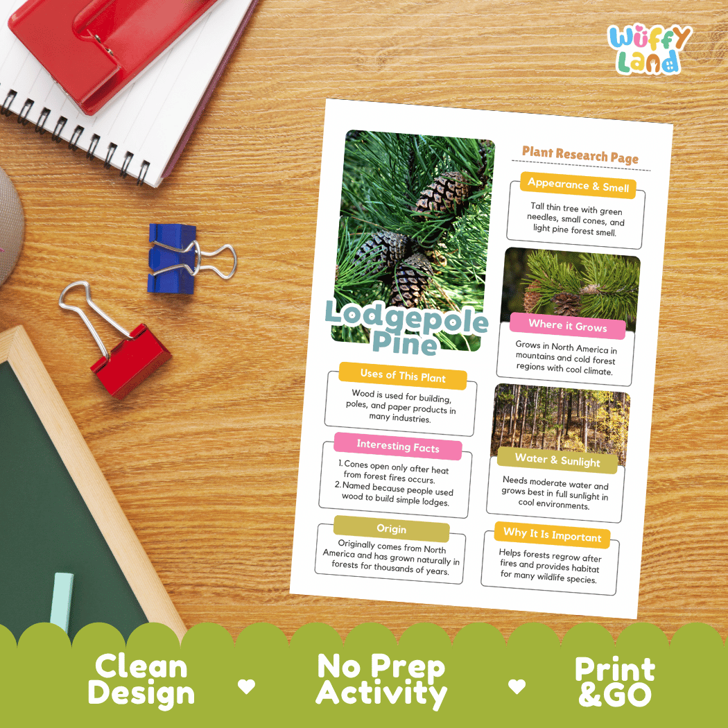 Lodgepole Pine Plant Research Page Worksheets and Fact Sheet