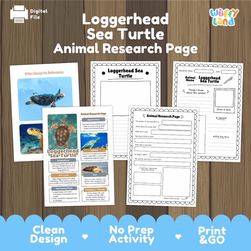 Loggerhead Sea Turtle Animal Research Pages and Worksheets