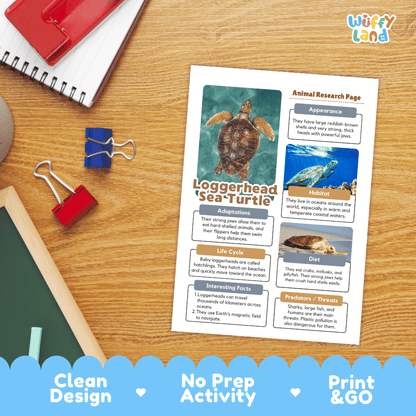 A printed educational activity sheet titled 'Loggerhead Sea Turtle' laid on a wooden desk, surrounded by school supplies including a red notebook, blue binder clips, and a red pencil eraser. The sheet includes animal research pages with turtle photos and text blocks.