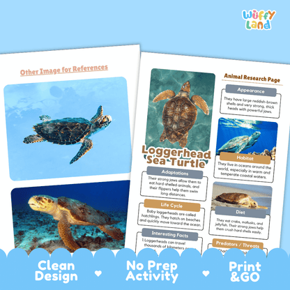 Loggerhead Sea Turtle Animal Research Pages and Worksheets