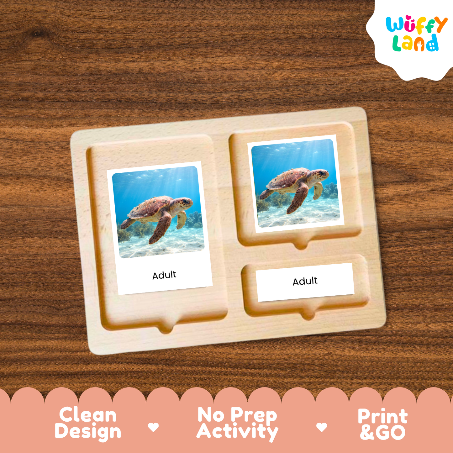 Loggerhead Sea Turtle Life Cycle Flashcards 3 Part Cards Montessori Science Activity
