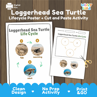Loggerhead Sea Turtle Life Cycle Poster and Cut and Paste Worksheet Activity