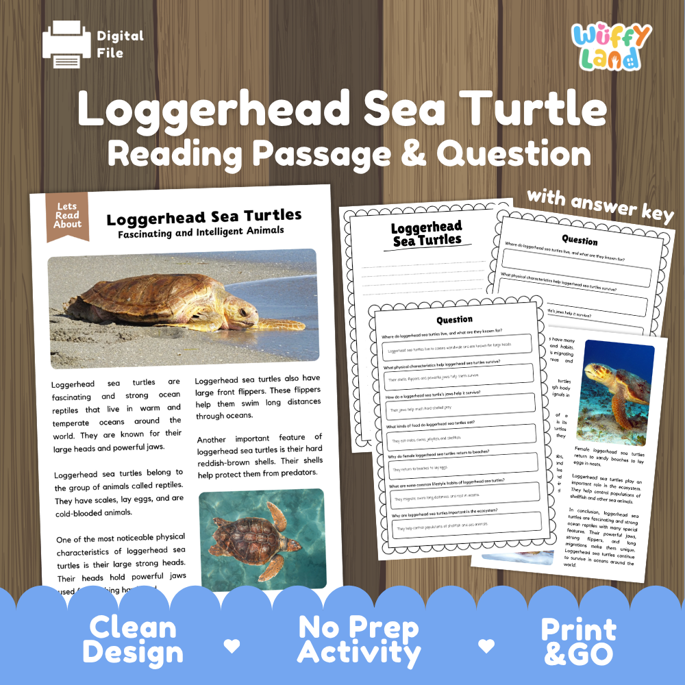 Loggerhead Sea Turtle Reading Passage and Comprehension Questions Worksheets