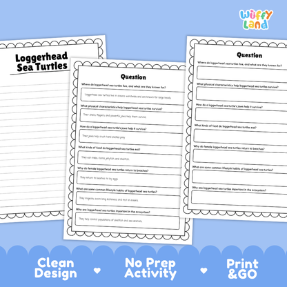 Loggerhead Sea Turtle Reading Passage and Comprehension Questions Worksheets