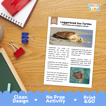 Loggerhead Sea Turtle Reading Passage and Comprehension Questions Worksheets