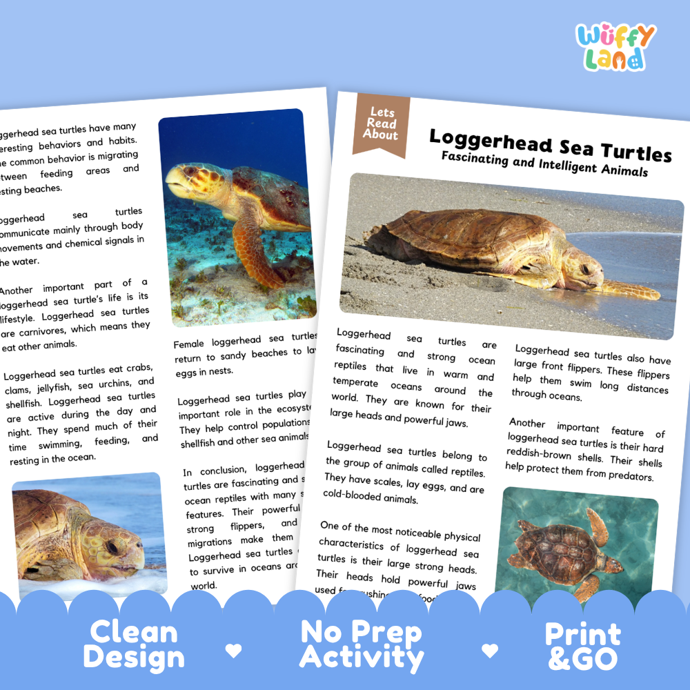 Loggerhead Sea Turtle Reading Passage and Comprehension Questions Worksheets