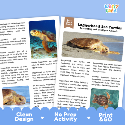 Loggerhead Sea Turtle Reading Passage and Comprehension Questions Worksheets