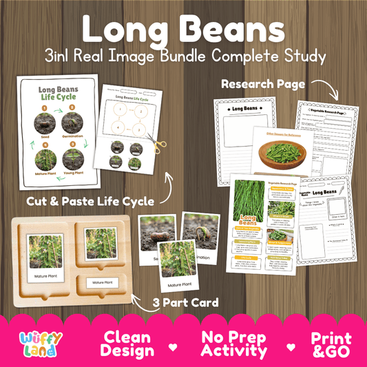 Long beans 3in1 real image bundle complete study printable featuring life cycle cut and paste worksheets, Montessori 3-part cards, and research pages