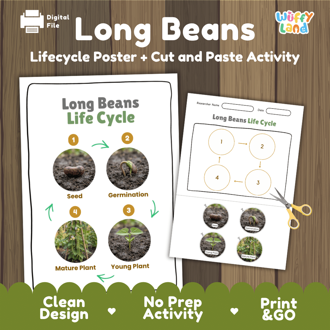 Long beans plant life cycle educational printable pack cover showing visual reference poster and cut and paste sequencing worksheet with real photography