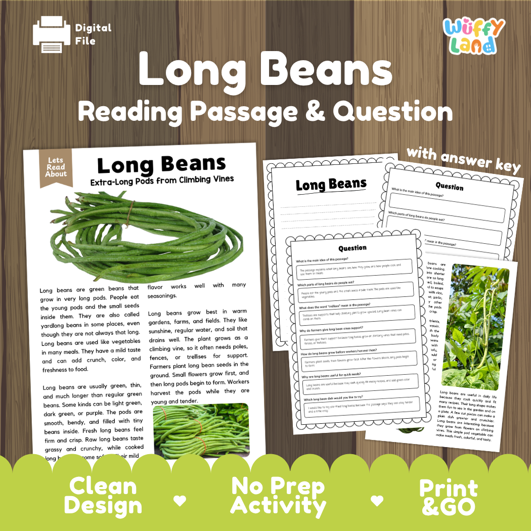Long beans reading comprehension passage and questions printable activity pack with answer key for elementary students