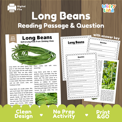 Long beans reading comprehension passage and questions printable activity pack with answer key for elementary students