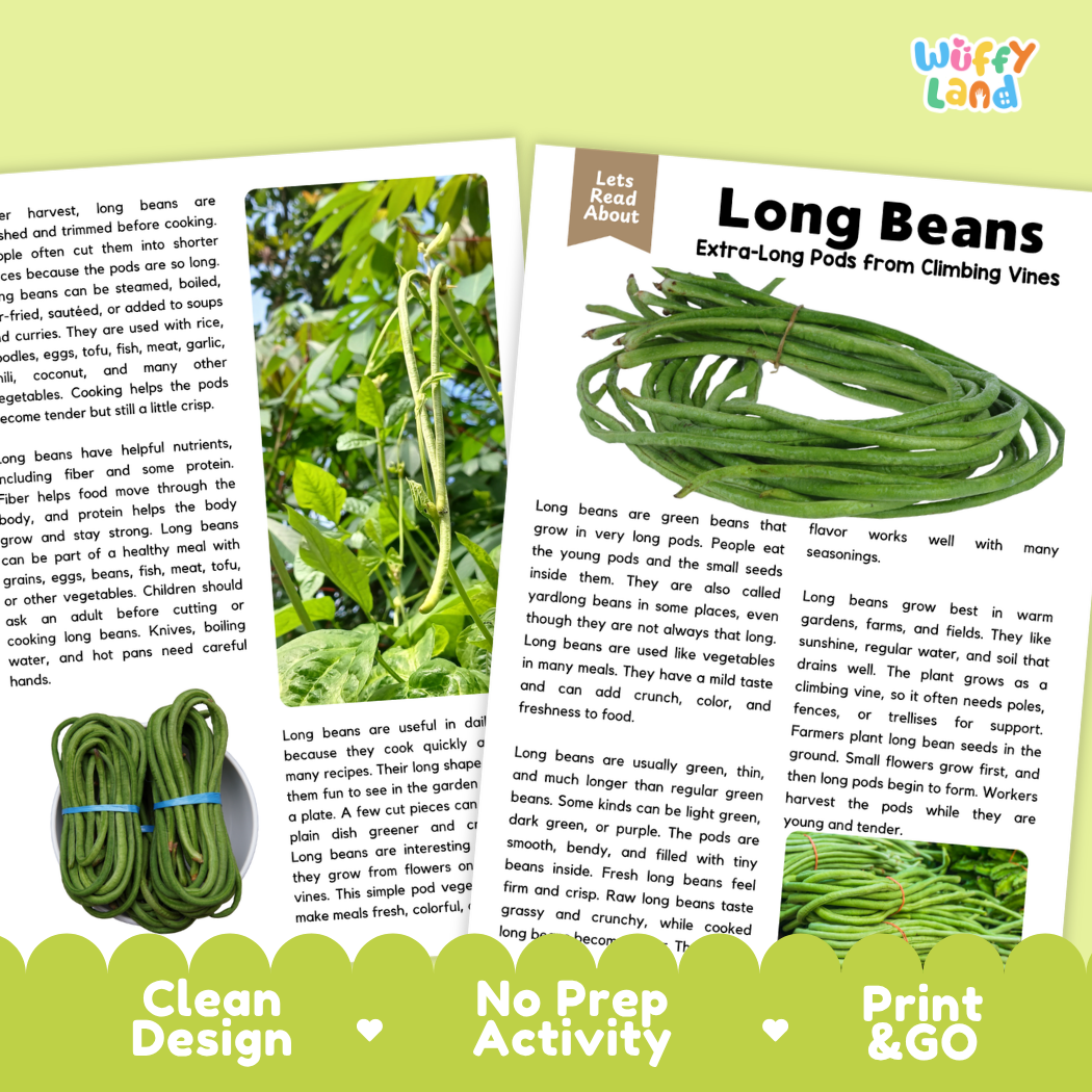 Teacher answer key page showing complete question solutions for long beans reading comprehension practice