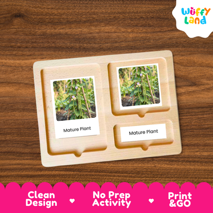 A wooden Montessori-style activity tray with two labeled slots reading 'Mature Plant,' shown on a brown wood background. The tray contains small printed photos of plants.