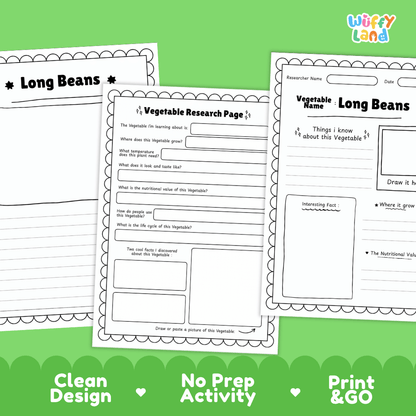 Long Beans Vegetable Research Page Worksheets and Fact Sheet
