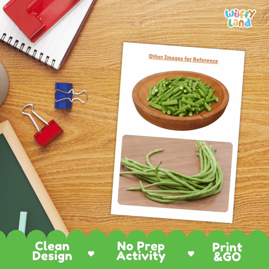 Long Beans Vegetable Research Page Worksheets and Fact Sheet