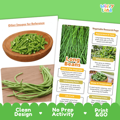 Long Beans Vegetable Research Page Worksheets and Fact Sheet