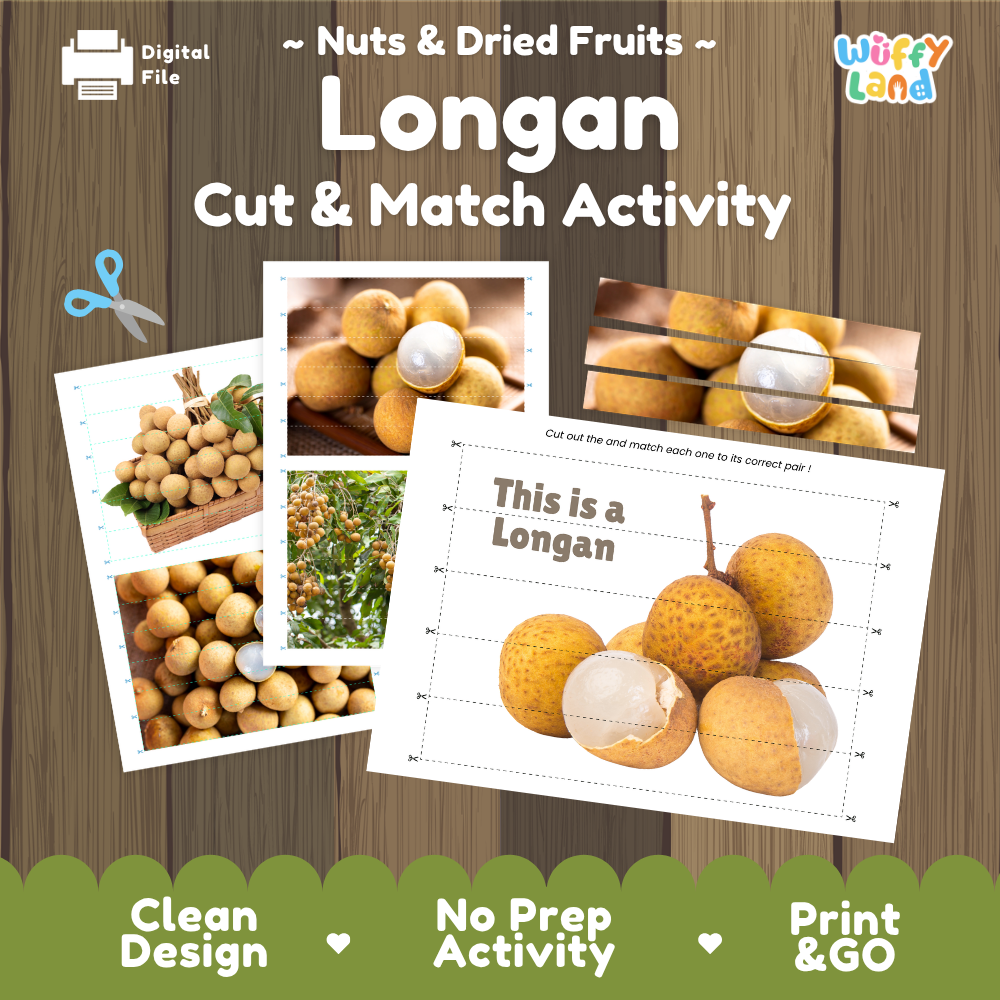 Longan cut and match activity cover showing printable fine motor puzzle sheets and fruit photographs