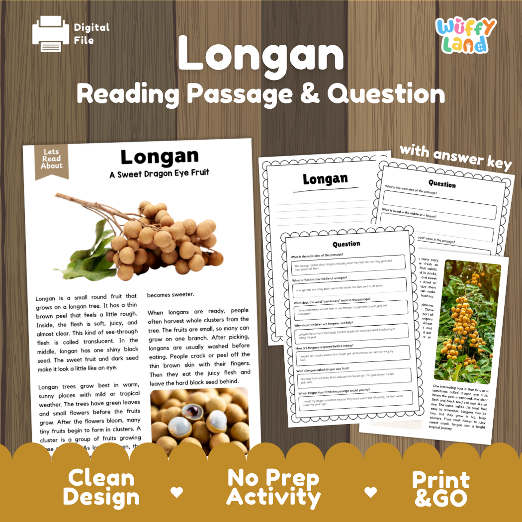 Longan reading comprehension passage and questions printable activity pack with answer key for elementary students