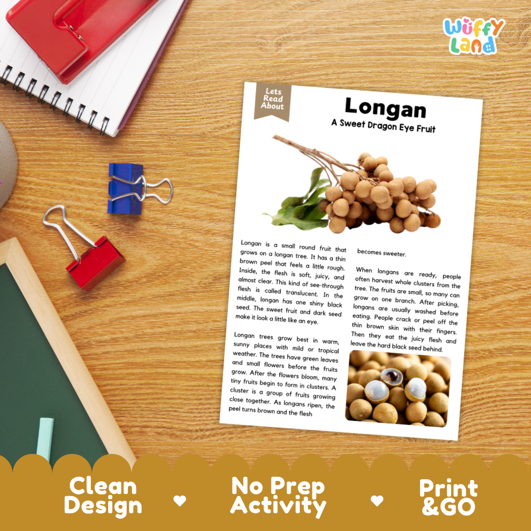 Student reading comprehension worksheet with short-answer questions and lined sections about the longan fruit