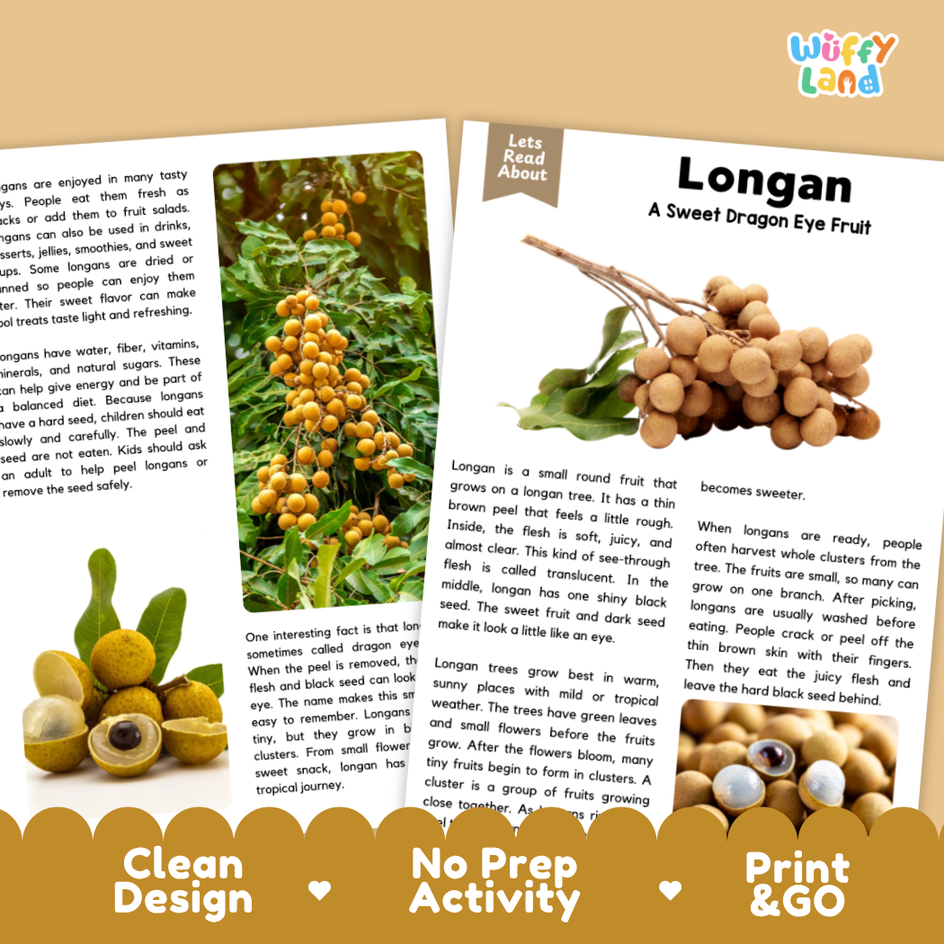 Teacher answer key page showing complete question solutions for Longan nature and science reading comprehension practice