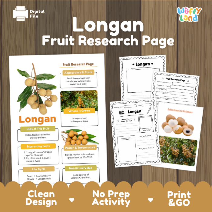 A digital preview of a 'Longan Fruit Research Page' activity sheet set on a wood-grain background. The image shows the main poster page, several worksheet pages, and a 'Digital File' badge.