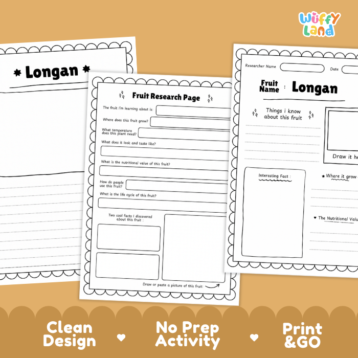 Three printable fruit research worksheet pages are shown on a warm tan background with promotional text at the bottom. The pages are labeled Longan and contain black printed text boxes, drawing areas, and writing lines.