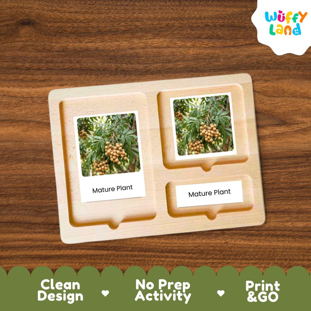 A wooden Montessori-style activity tray with two labeled cards reading 'Mature Plant' and photos of a plant, shown on a wood-grain background. A 'Wuffy Land' logo appears in the top right, and a green banner at the bottom highlights 'Clean Design', 'No Prep Activity', and 'Print & GO'.