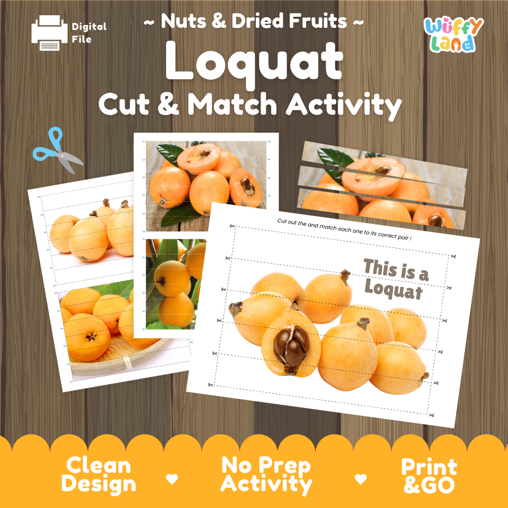 Loquat cut and match activity cover showing printable fine motor puzzle sheets and fruit photographs