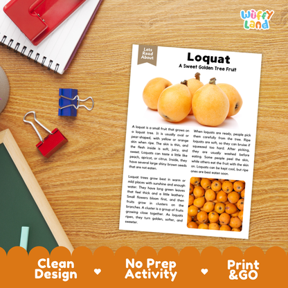 Student reading comprehension worksheet with short-answer questions and lined sections about the loquat fruit