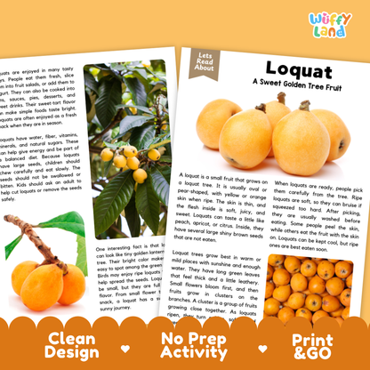 Teacher answer key page showing complete question solutions for Loquat nature and science reading comprehension practice