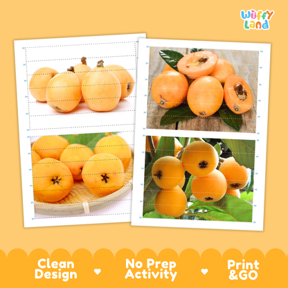 Printable activity sheets featuring photographic loquat puzzle boards and cutting guides