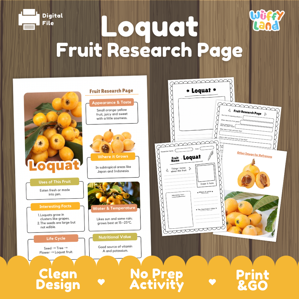 Digital preview of a 'Loquat Fruit Research Page' activity sheet set on a dark wood background. The image shows the main printed page, two worksheet pages, and a reference card, all featuring yellow-orange loquat fruit illustrations.
