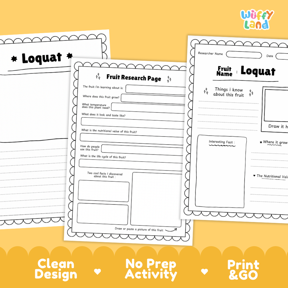 Three printable educational worksheets about the fruit loquat are shown on a yellow background with marketing text at the bottom. The worksheets are black-and-white lined pages with headings like 'Loquat' and 'Fruit Research Page,' and the brand logo 'Wiffly Land' appears in the top right.
