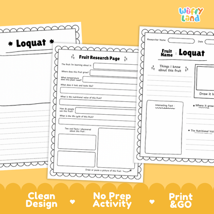 Three printable educational worksheets about the fruit loquat are shown on a yellow background with marketing text at the bottom. The worksheets are black-and-white lined pages with headings like 'Loquat' and 'Fruit Research Page,' and the brand logo 'Wiffly Land' appears in the top right.