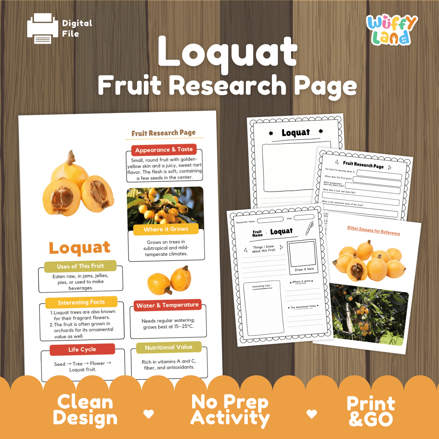 Loquat Fruit Research Project Science Worksheet Fact Sheet Activity Wuffyland