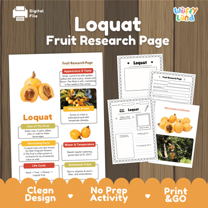 Loquat Fruit Research Project Science Worksheet Fact Sheet Activity Wuffyland