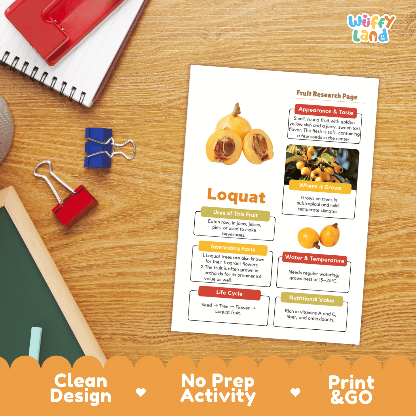 Loquat Fruit Research Project Science Worksheet Fact Sheet Activity Wuffyland