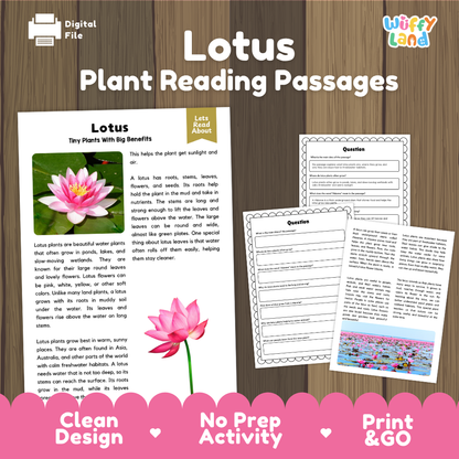 Lotus plant reading passages cover showing printable reading texts, comprehension worksheets, and photographic visuals