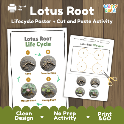 Lotus root aquatic plant life cycle educational printable pack cover showing visual reference poster and cut and paste sequencing worksheet with real photography